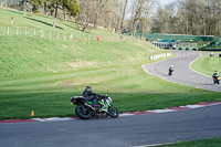 Lower Group Green Bikes